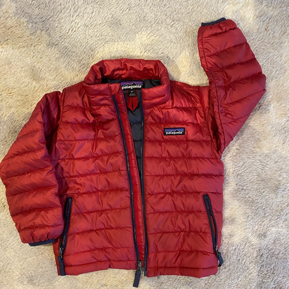 Patagonia baby down 3T